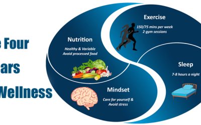 4 Pillars of Wellbeing