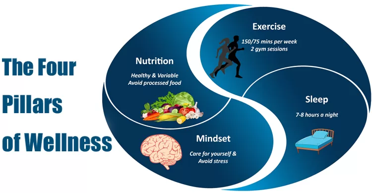 Four Pillars Of Wellness Four pillars of wellness graphic